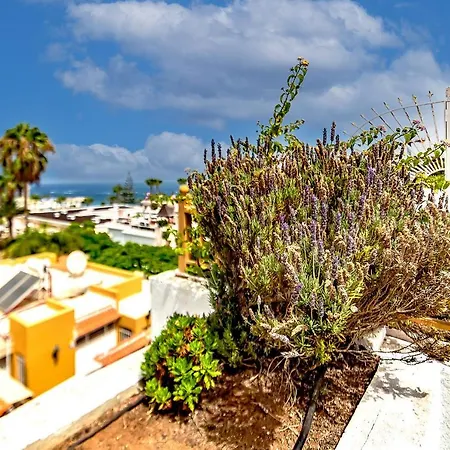 Los Geranios Appartement Costa Adeje (Tenerife)